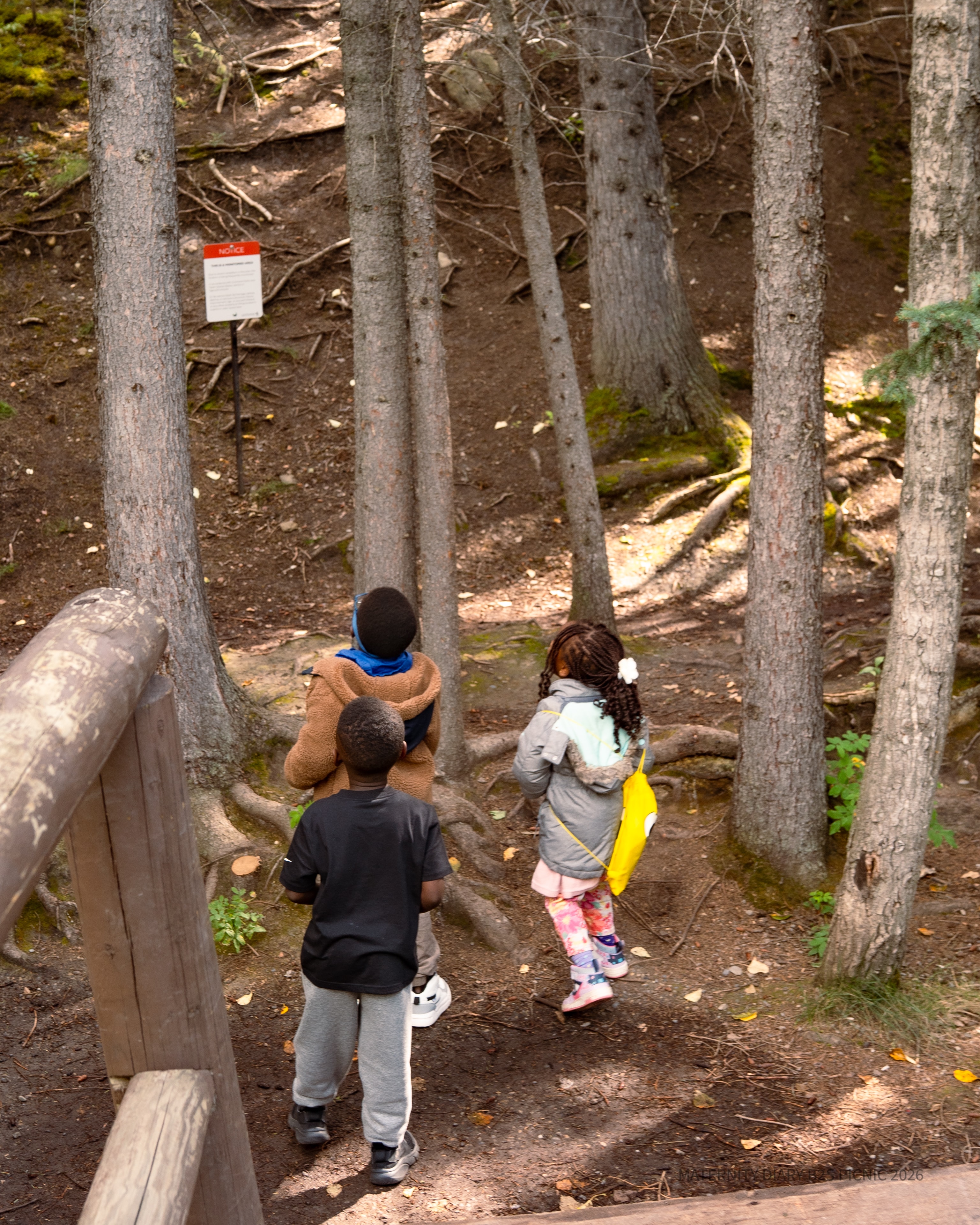 Annual Back-to-School Picnic 2026 — photo 13